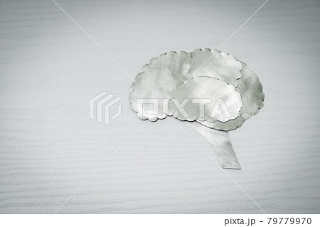 メタルの脳 79779970