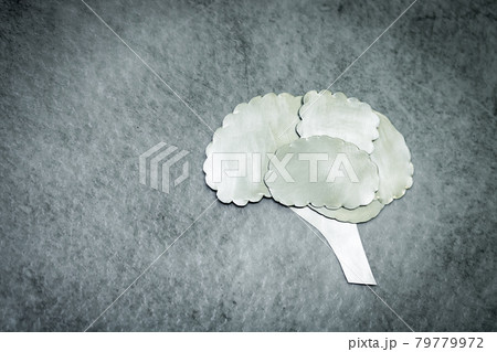 メタルの脳 79779972