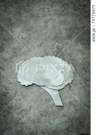 メタルの脳 79779975