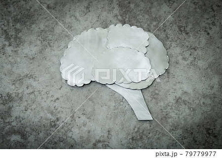 メタルの脳 79779977