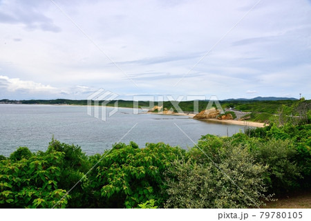 夏井ヶ浜はまゆう公園から見た夏井ヶ浜の風景 79780105