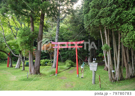 Torii Torii 79780783