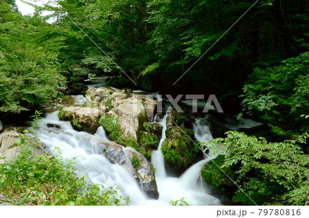 岡山県・泉源渓谷の清流・初夏 79780816