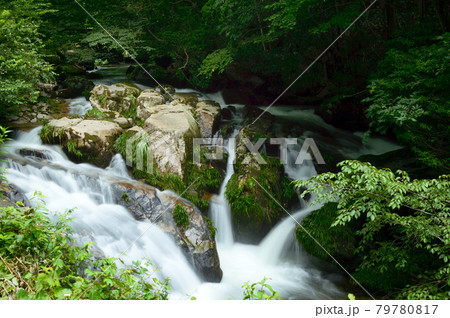 岡山県・泉源渓谷の清流・初夏 79780817