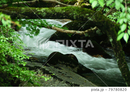 岡山県・泉源渓谷の清流・初夏 79780820