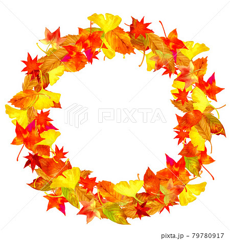 落ち葉の円形フレーム素材 79780917