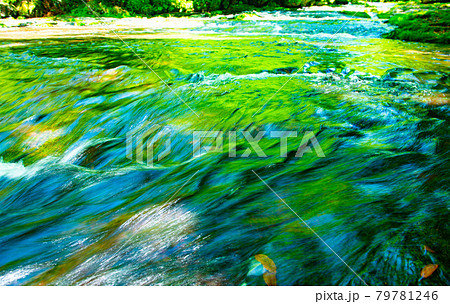 新緑美しく心和ませてくれる菊池渓のせせらぎ 79781246