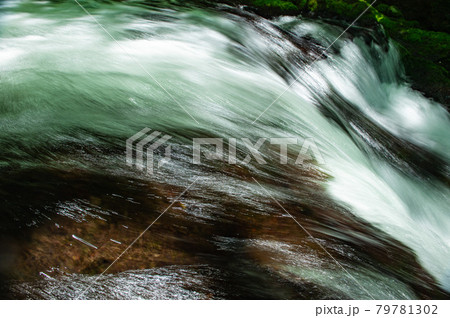 新緑美しく心和ませてくれる菊池渓のせせらぎ 79781302