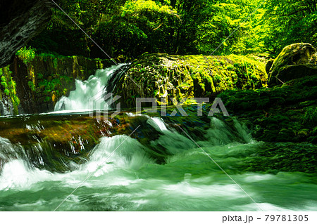 新緑美しく心和ませてくれる菊池渓のせせらぎ 79781305