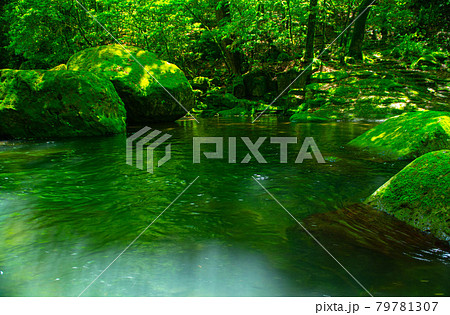 新緑美しく心和ませてくれる菊池渓のせせらぎ 79781307