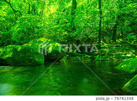 新緑美しく心和ませてくれる菊池渓のせせらぎ 79781308