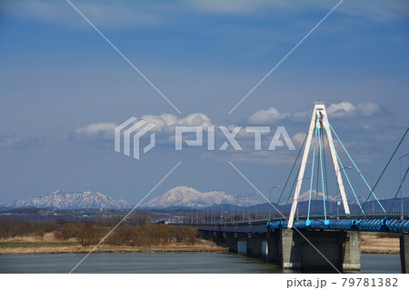 春の大橋 春の大橋 79781382