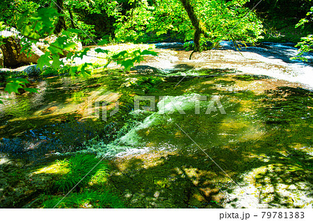 新緑美しく心和ませてくれる菊池渓のせせらぎ 79781383