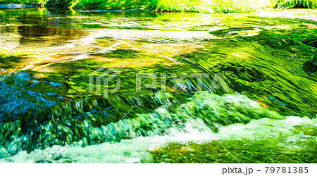 新緑美しく心和ませてくれる菊池渓のせせらぎ 79781385