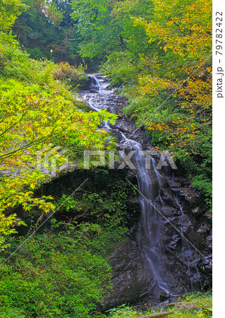 柳の滝 柳の滝 79782422
