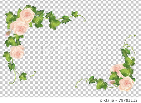 水彩の薔薇とアイビーのフレーム 79783112