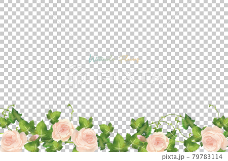 水彩の薔薇とアイビーのフレーム 79783114