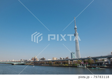 快晴の東京スカイツリー 79783118