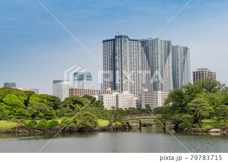東京湾岸地区 都市風景 東京湾岸地区 都市風景 79783715