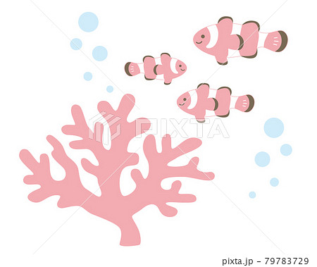 海のイラスト サンゴとクマノミのイラストのイラスト素材