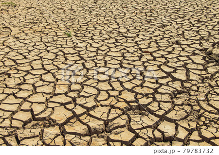 Global warming and greenhouse effect concept. 79783732