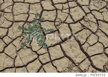 Global warming and greenhouse effect concept. 79783733