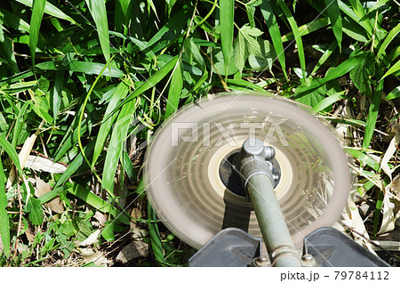 草刈り作業 79784112