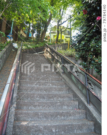埼玉県和光市・百段階段 埼玉県和光市・百段階段 79784340