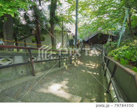 埼玉県和光市・百段階段 79784350