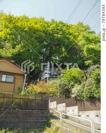 埼玉県和光市・百段階段 79784393