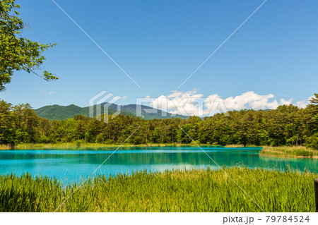 裏磐梯・新緑の五色沼 裏磐梯・新緑の五色沼 79784524