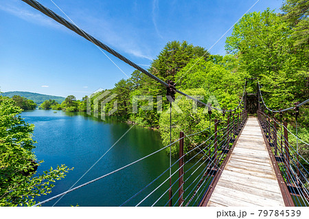 新緑の裏磐梯・探勝路 79784539