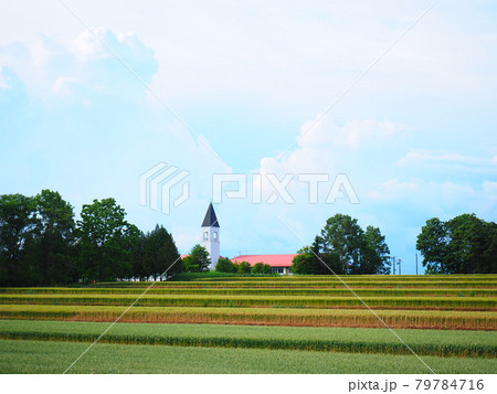 北海道の風景 美瑛町 美馬牛小学校 北海道の風景 美瑛町 美馬牛小学校 79784716