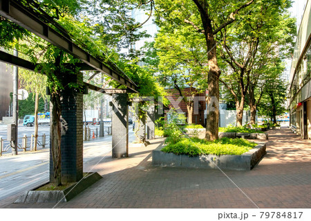 東京都中央区の数寄屋橋公園 79784817