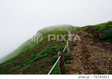 秋田駒ケ岳 大焼砂から横岳への道 秋田駒ケ岳 大焼砂から横岳への道 79784831