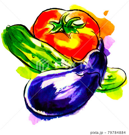 手描き風トマト・ナス・きゅうり夏野菜のイラストのイラスト素材