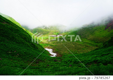 秋田駒ケ岳 ムーミン谷下り 秋田駒ケ岳 ムーミン谷下り 79785267