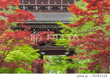 新緑の南禅寺・三門 79785528