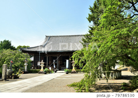 道成寺　本堂(御堂)【和歌山県日高郡日高川町】 79786530