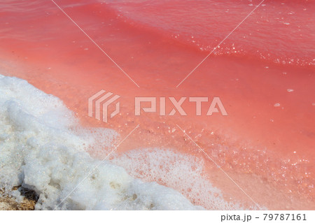 Surface of the pink salty Syvash lake in Kherson region, Ukraine. Natural background, texture Surface of the pink salty Syvash lake in Kherson region, Ukraine. Natural background, texture 79787161