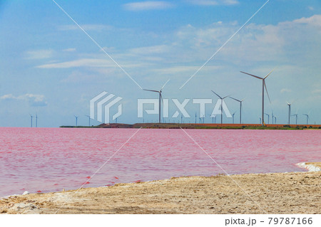 Wind turbines on a shore of the pink salty Syvash lake in Kherson region, Ukraine. Renewable energy 79787166