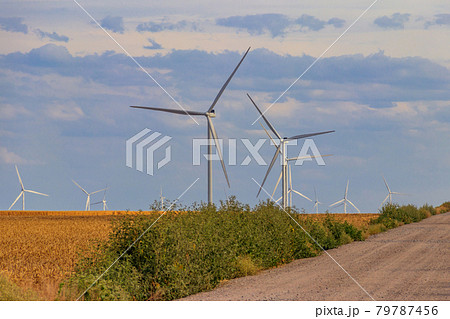 Wind turbines in a field. Renewable energy Wind turbines in a field. Renewable energy 79787456