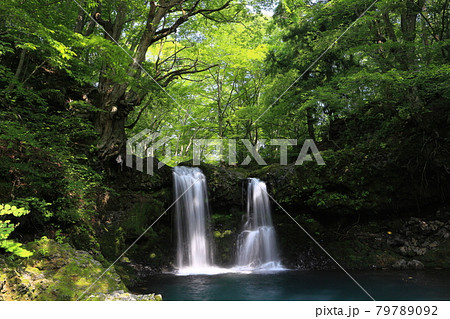 【山梨県】新緑の鐘山の滝 【山梨県】新緑の鐘山の滝 79789092