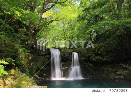 【山梨県】新緑の鐘山の滝 【山梨県】新緑の鐘山の滝 79789093