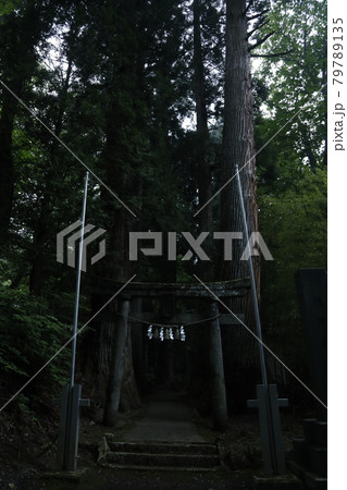 神社　Shrine　鳥居　Torii 林　Woods 森　Forest　自然　Nature　神聖 79789135