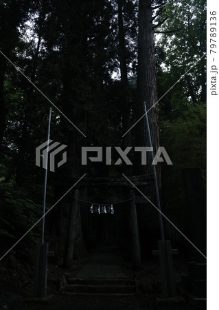 神社 Shrine 鳥居 Torii 林 Woods 森 Forest 自然 Nature 神聖 神社 Shrine 鳥居 Torii 林 Woods 森 Forest 自然 Nature 神聖 79789136