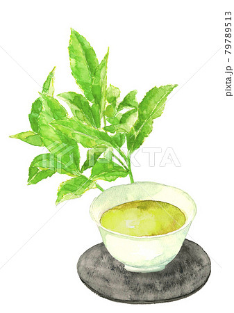 新茶と茶畑の葉【手描き水彩画】白バック コピースペースあり PNG 79789513