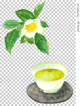 New tea and tea flowers in the tea plantation [Hand-painted watercolor] White background with copy space PNG 79789514