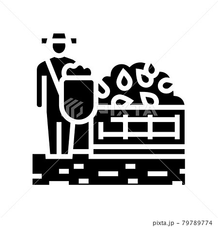 harvesting tea glyph icon vector illustration 79789774