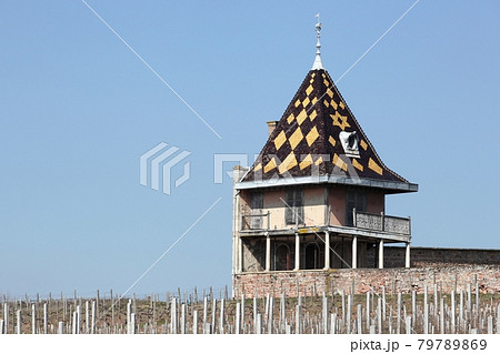 Tower in the garden of Chateau Portier in Beaujolais, France 79789869